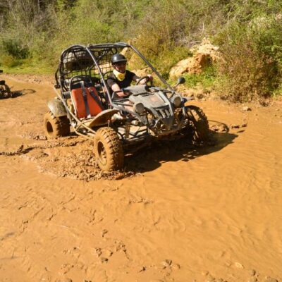 Buggy